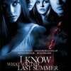 ネタバレ映画個人的感想〖ホラー映画の殺人鬼〗について思う事④