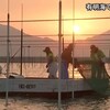 有明海でノリの種付け【熊本】