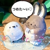 １１３　みずあび