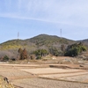 プチ山登りと何となく？鳥見