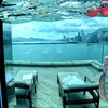 ほぼ貸し切り状態のインフィニティ―プールで幻想体験！香港の穴場的高級ホテル「Harbour Grand Kowloon」の魅力②【香港女子旅】