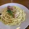        ann's coffee | 京都カフェ | 京都ドッグカフェ | 京丹波町カフェ|京丹波町ドッグカフェ|焙煎珈琲 |2024 2/14