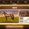 秋冬の古馬Ｇ１４勝！自家製種牡馬×カワーイナヤ産駒！ギャラクシファール（Swtich版ダービースタリオン278）