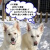 今年もありがとう