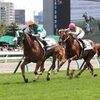  【クイーンＳ】ヤマカツグレースに騎乗の池添「開幕週の馬場生かす競馬をしたい」