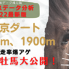 中京ダート1800m、ダート1900m血統傾向分析2022最新版！特定の条件で産駒の好走率が爆上げする種牡馬を大公開！