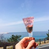 済州島(チェジュ島)ショッピング　#かわいいお土産屋さん(2)「バイチェジュ」「Sam'sチェジュキャンドル」