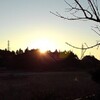 今朝の日の出