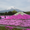 富士芝桜まつりから熱海保養所