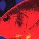 風趣の音楽