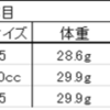 2023/5/14  大型・極太系オオクワガタ、羽化個体紹介