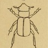 †Dorcasoides bilobus Motschulsky,1856についての検証