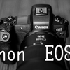 【カメラ】α7Ⅲを売却しEOS Rを今更買った件