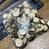 脳も猫も溶ける暑さ。バルボと姫竹葉セッコクの花。