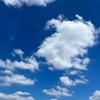 仕事: 異常が通常になると異常に気づかなくなりそうで怖い。