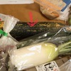 蒸し野菜とおでん