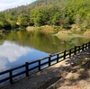 日向池（長野県上田）