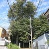 子ノ神社（東京都東久留米市）