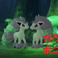 ポケモン剣盾 ライブカメラにガラルのポニータ登場 ポケモンソードシールドの違いがヤバイ