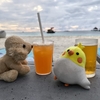 モルディブ　クラブメッド・カニフィノール⑥　夜のイベント編