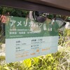 上野動物園のアメリカバク