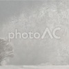 AC写真　冬の樹氷