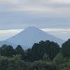 今朝の景色