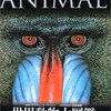 漢字クイズ　読めるかな？　動物ですよ。「麒麟」角が5本ある？