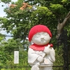 ６月１日　高尾山トレッキング