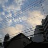 やっと梅雨明けかな？