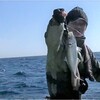 50㎝前後のアジ釣り大漁満足