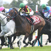 競馬初心者必見☆馬券予想🔥〜マイラーズC〜叩きのレースでも2強は揺らがない