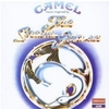 CAMEL - Snow Goose：白雁 -