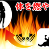 冷えは万病のもと！根菜パワーで体を温め冷え性改善！体を燃やせ！ウイルスに負けるな！