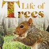 木の諸相について学べるノンフィクション英語読本  DKRシリーズから『The Secret Life of Trees』のご紹介