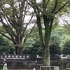 東京都神代植物公園に行ってきました。