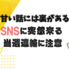 怪しいSNS投稿に注意！２０２４年のポイント特集