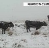 暖かさ一転　昼すぎにかけ山地は大雪に注意　