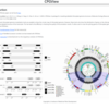 クロロプラストゲノムの詳細な構造を可視化する CPGView