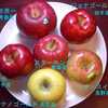 リンゴ６品種食べくらべ（第３弾）