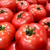 夏野菜の王様！トマトを使った簡単＆美味しい料理5選、家族喜ぶ！