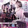 【ラノベレビュー】完璧御曹司の年の差包囲網で甘く縛られました Riho & Kazuki【冬野まゆ 】