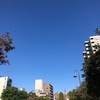 青空【スマホ撮り】