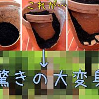 捨てるのもったいないとは 人気 最新記事を集めました はてな