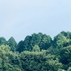 今朝の景色