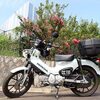 クロスカブ一年点検＆俣野別邸庭園＆西俣野田んぼ