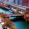 京急　大岡川の桜紅葉