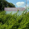 香取神社とまもりの社公園（１）～つくば市とその周辺の風景写真案内（８５６）