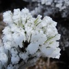 磐梯山/晶華 2016年10月30日