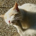 日なたの縁側